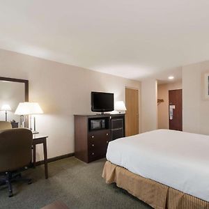 King Room Roll Shower Disability Access